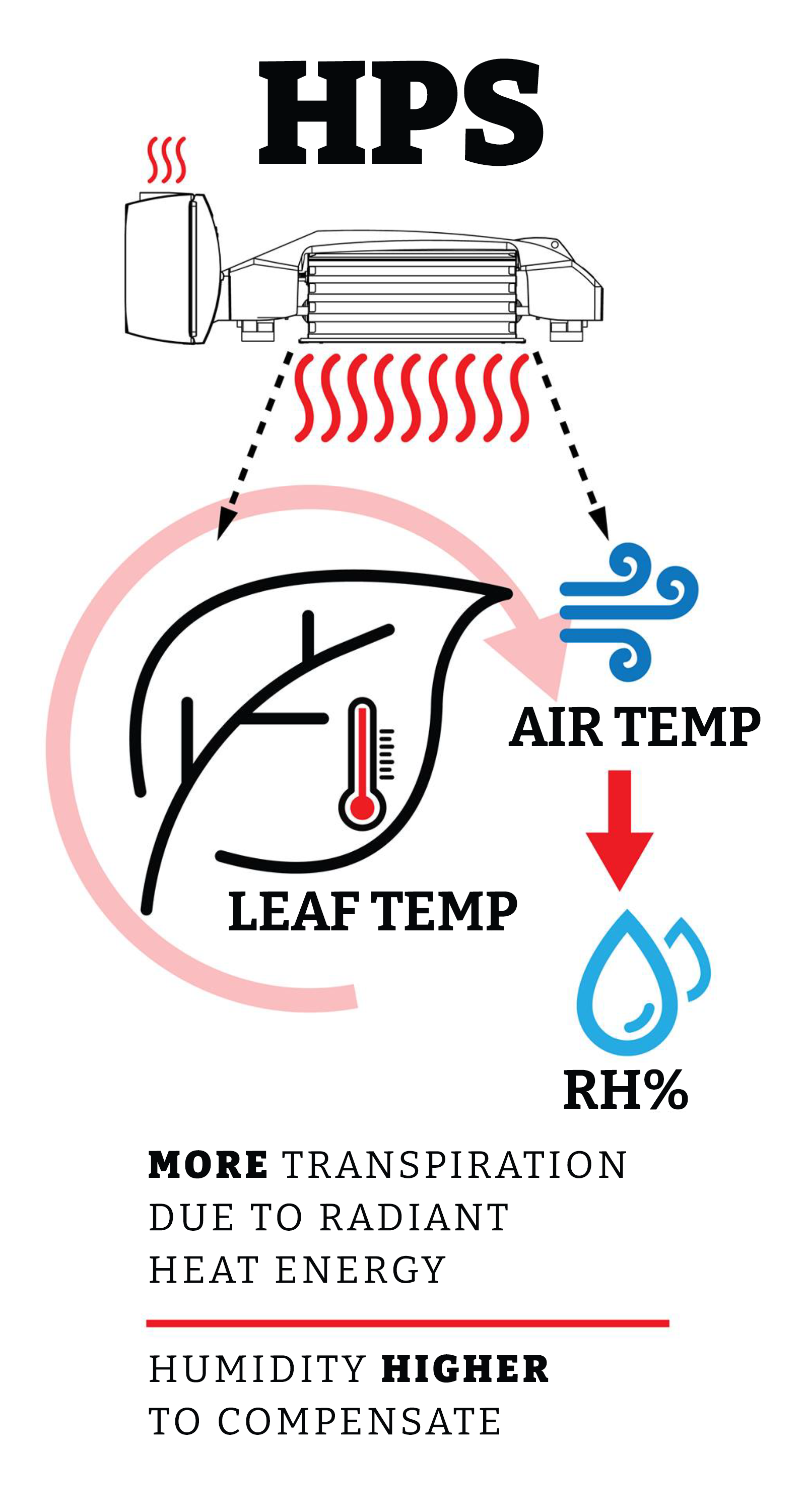 5 Tips for a Seamless Transition from HPS to LED